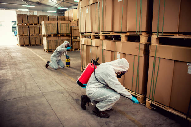 Best Best Pest Control Companies  in Oakley, CA