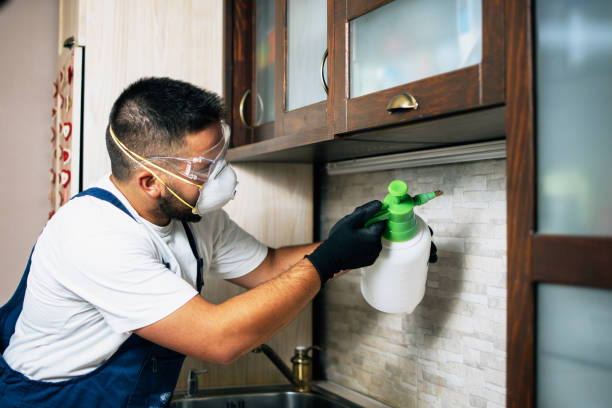 Best Mosquito Control Services  in Oakley, CA
