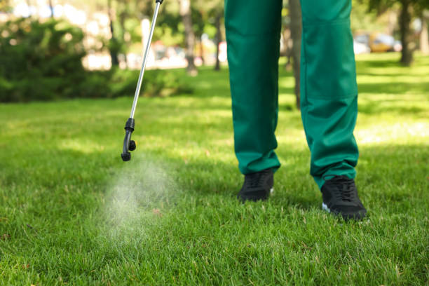 Best Exterminator Services  in Oakley, CA