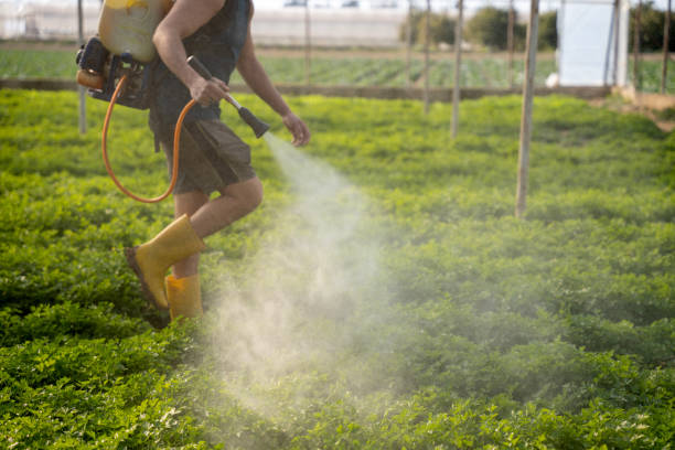 Best Mosquito Control Services  in Oakley, CA