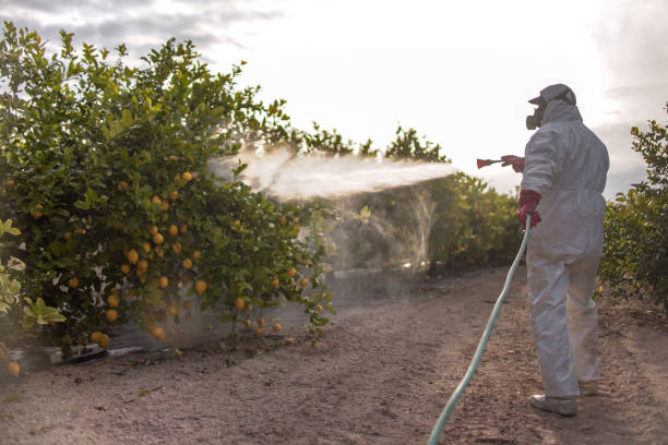 Best Pest Prevention Services  in Oakley, CA