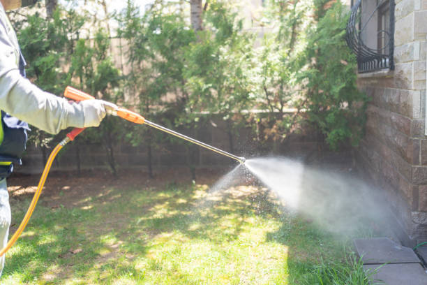 Best Pest Control Near Me  in Oakley, CA