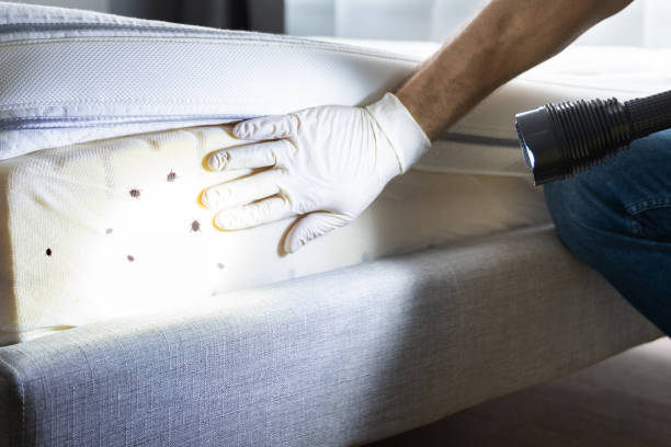 Professional Pest Control in Oakley, CA