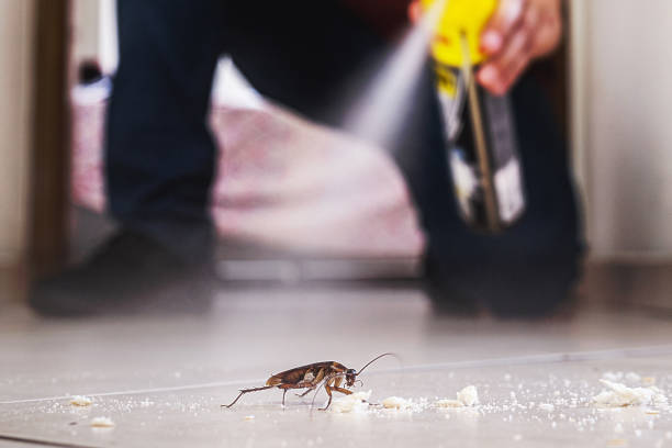 Best Spider Control Near Me  in Oakley, CA