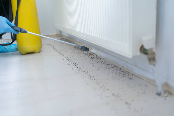 Best Pest Inspection Near Me  in Oakley, CA