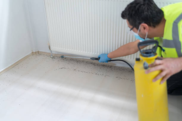 Best Rat Extermination Near Me  in Oakley, CA