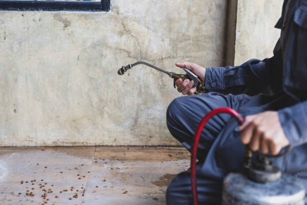 Best Local Pest Control Services  in Oakley, CA